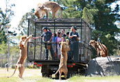 Orana Wildlife Park