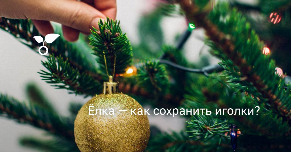 Новогодние Елки Из Коры