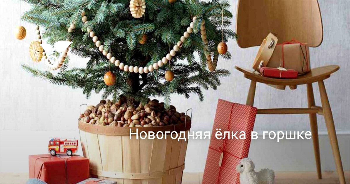 Покупка Новогодней Елки