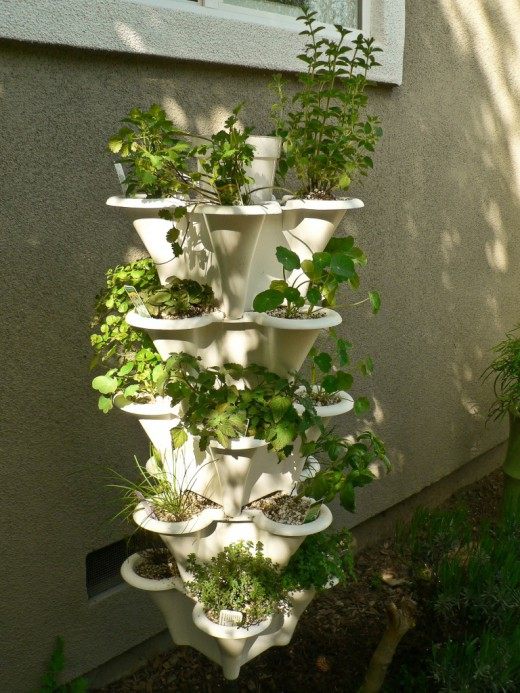 Гидропонное выращивание (Hydroponic growing)