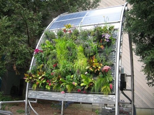 Гидропонное выращивание (Hydroponic growing)