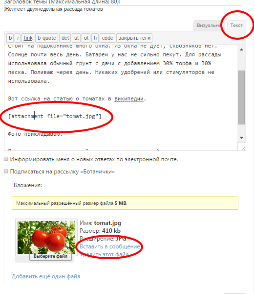 Текущий режим текстового процессора вставка или замена фиксируется