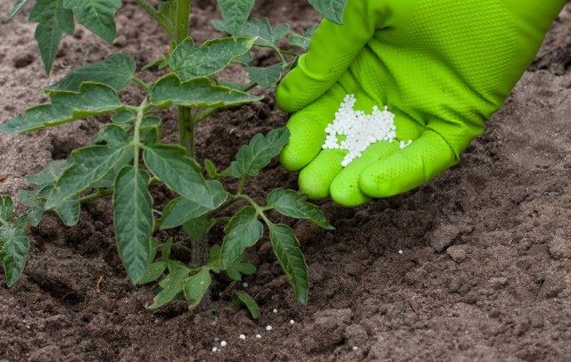 Минеральное удобрение Минеральное удобрение