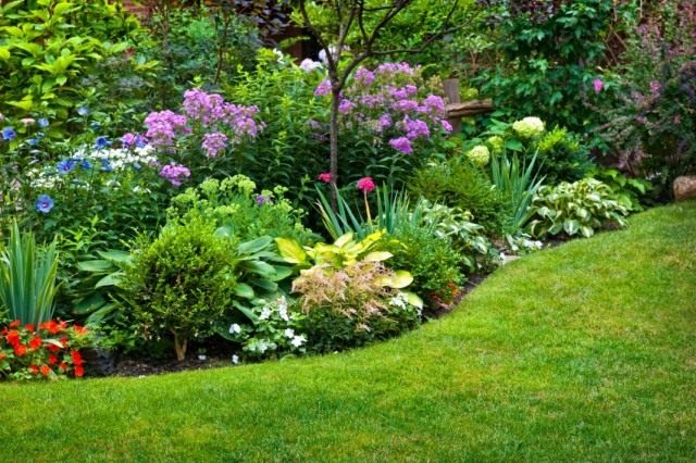 ядовитые цветы на даче фото и названия. poisonous plants. ядовитые цветы на даче фото и названия фото. ядовитые цветы на даче фото и названия-poisonous plants. картинка ядовитые цветы на даче фото и названия. картинка poisonous plants. Дачные и придомовые участки немыслимы без цветов. Скромные дорожки, обрамленные тюльпанами, пышные цветники из однолетников, поражающих взгляд цветовым сочетанием, зелено-голубые хвойники. Прекрасны цветы в саду, в доме, в городских парках и скверах. Но, как сказала великая актриса Раневская в одном из фильмов: «Красота – это страшная сила», растения и цветы бывают опасны. Встречу с ними хочется продлить и вот уже букет на столе, нос в пыльце, стебелек в зубах, а далее, а далее… недомогание, скорая, реанимация. С некоторыми растениями и цветами работать необходимо, порой, в перчатках, а наслаждаться ароматом — на приличном расстоянии.