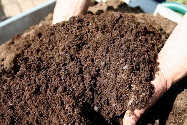 как определить что компост готов. compost 02. как определить что компост готов фото. как определить что компост готов-compost 02. картинка как определить что компост готов. картинка compost 02.