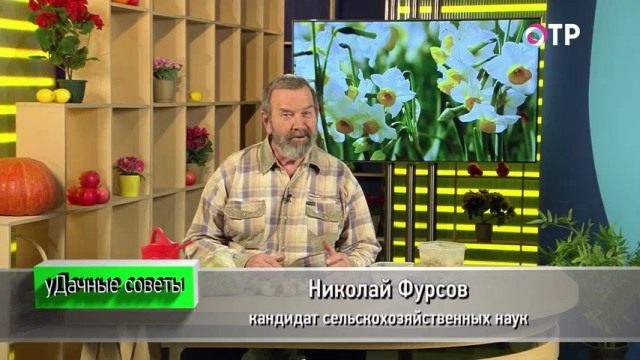 Николай Фурсов. Кандидат сельскохозяйственных наук Николай Фурсов. Кандидат сельскохозяйственных наук