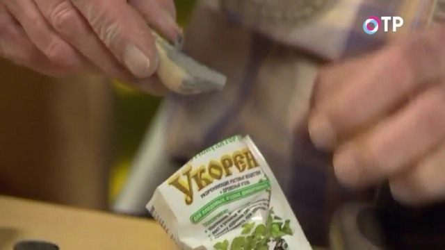 Обрабатываем донце корнестимулятором Обрабатываем донце корнестимулятором