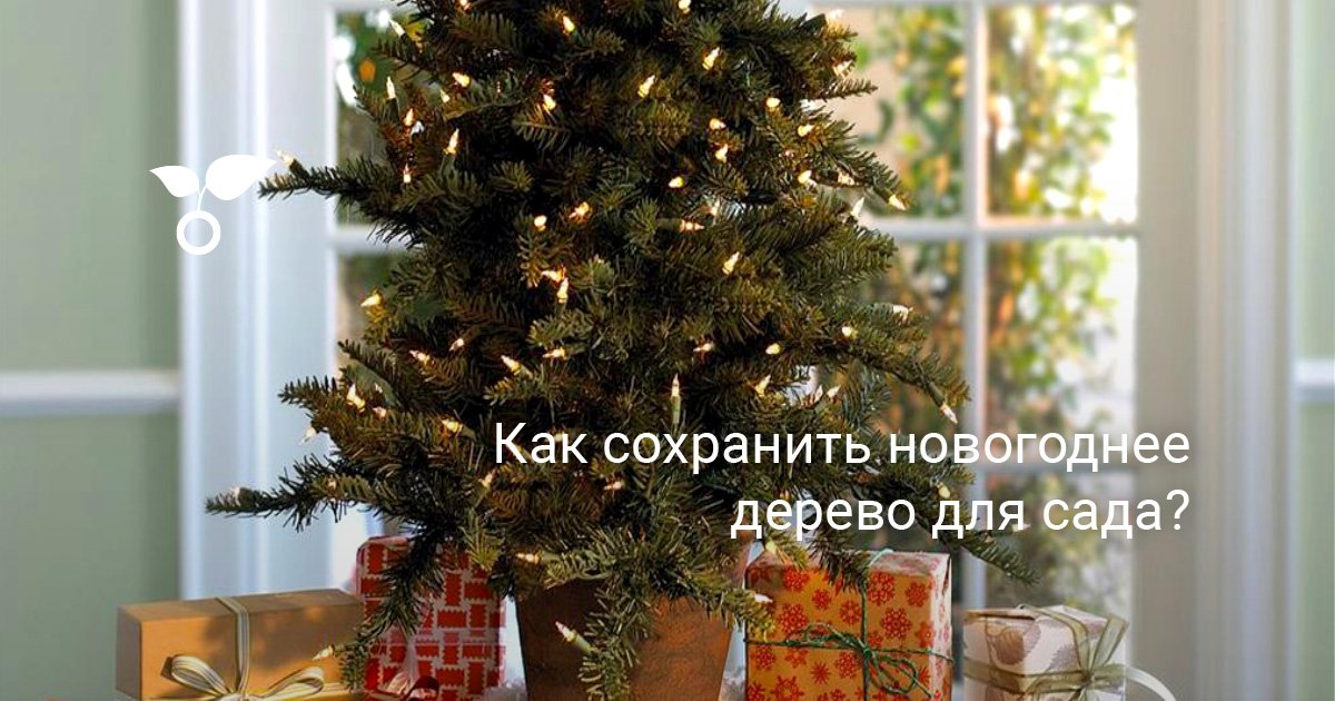 Новогоднее Дерево Новогоднее Дерево