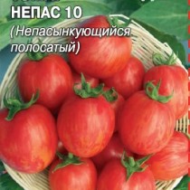 помидоры в грядках коробах особенности. Смотреть фото помидоры в грядках коробах особенности. Смотреть картинку помидоры в грядках коробах особенности. Картинка про помидоры в грядках коробах особенности. Фото помидоры в грядках коробах особенности