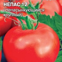 помидоры в грядках коробах особенности. Смотреть фото помидоры в грядках коробах особенности. Смотреть картинку помидоры в грядках коробах особенности. Картинка про помидоры в грядках коробах особенности. Фото помидоры в грядках коробах особенности