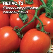 помидоры в грядках коробах особенности. Смотреть фото помидоры в грядках коробах особенности. Смотреть картинку помидоры в грядках коробах особенности. Картинка про помидоры в грядках коробах особенности. Фото помидоры в грядках коробах особенности