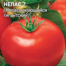 помидоры в грядках коробах особенности. Смотреть фото помидоры в грядках коробах особенности. Смотреть картинку помидоры в грядках коробах особенности. Картинка про помидоры в грядках коробах особенности. Фото помидоры в грядках коробах особенности