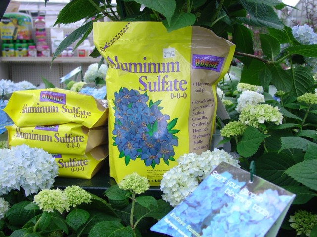 Сульфат алюминия для подкисления почвы и окрашивания цветов гортензий крупнолистных