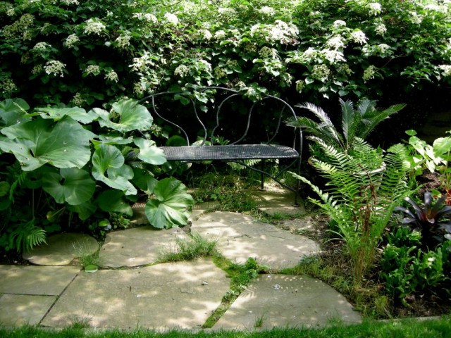 Скамейка в тени кустарников и цветник из теневыносливых растений