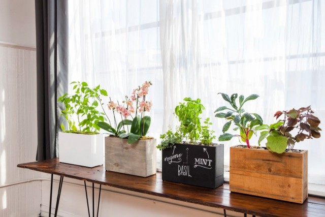 Plant Stand 08
