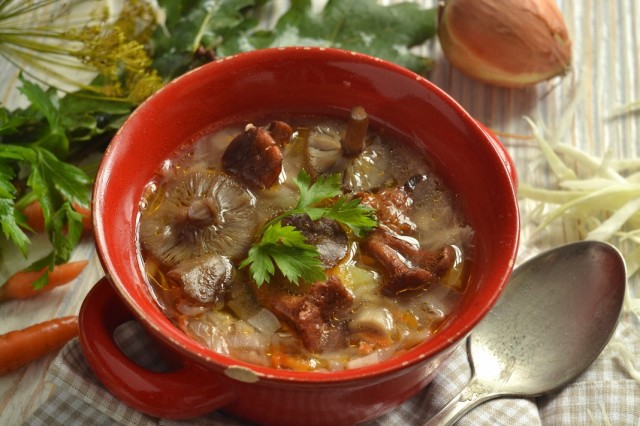 Грибные щи с капустой Грибные щи с капустой