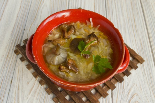 Грибные щи с капустой Грибные щи с капустой