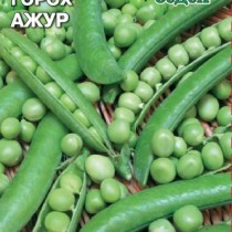 Горох Ажур от агрофирмы «СеДеК» Горох Ажур от агрофирмы «СеДеК»