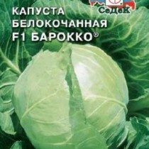 Капуста Арктика Описание Сорта Фото Отзывы