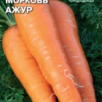 Морковь Ажур от агрофирмы «СеДеК» Морковь Ажур от агрофирмы «СеДеК»