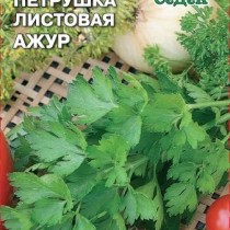 Петрушка листовая Ажур от агрофирмы «СеДеК» Петрушка листовая Ажур от агрофирмы «СеДеК»