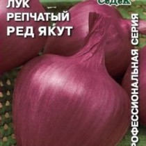 Лук репчатый Ред якут Лук репчатый Ред якут