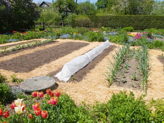 The main function of deepened beds is to save the soil from overheating and retain moisture.