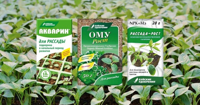 Недостаток комплекса элементов приведет к слабому развитию растений Недостаток комплекса элементов приведет к слабому развитию растений