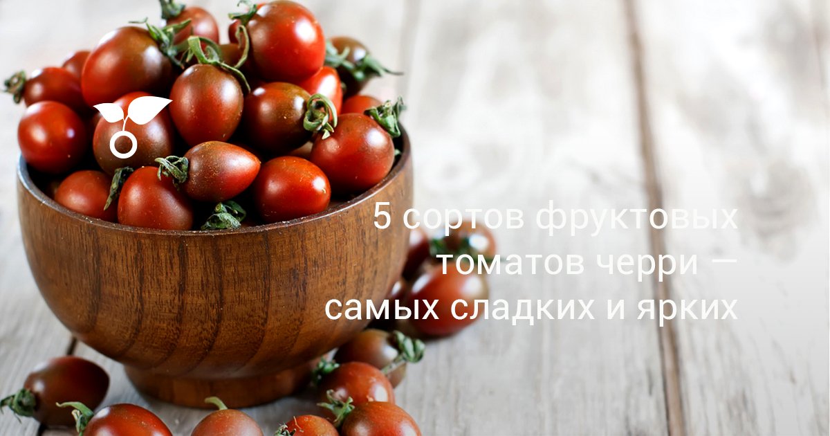 Томат Черри Кофе Описание Сорта Фото Отзывы — Фото Картинки