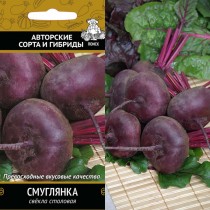 Свёкла сорт «Смуглянка» Свёкла сорт «Смуглянка»