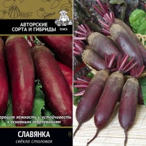 Свёкла сорт «Славянка» Свёкла сорт «Славянка»