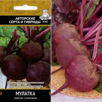Свёкла сорт «Мулатка» Свёкла сорт «Мулатка»
