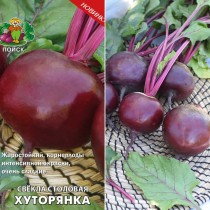 Свёкла сорт «Хуторянка» Свёкла сорт «Хуторянка»