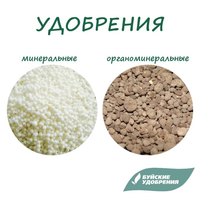 Что такое органоминеральное органоминеральные удобрения. Смотреть фото Что такое органоминеральное органоминеральные удобрения. Смотреть картинку Что такое органоминеральное органоминеральные удобрения. Картинка про Что такое органоминеральное органоминеральные удобрения. Фото Что такое органоминеральное органоминеральные удобрения