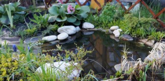 Как установить и оформить пластиковый пруд в саду