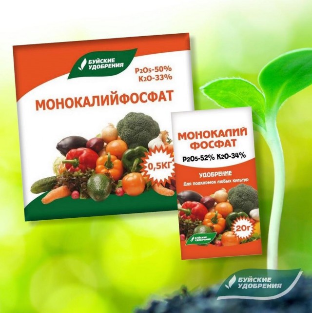 Как использовать удобрение ому осеннее. pro udobreniya osennie 04. Как использовать удобрение ому осеннее фото. Как использовать удобрение ому осеннее-pro udobreniya osennie 04. картинка Как использовать удобрение ому осеннее. картинка pro udobreniya osennie 04