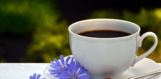 Цикорий — сорняк, который заменит кофе и поможет похудеть