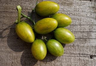 Томаты черри «Зеленый тигр» (Solanum lycopersicum var. Cerasiforme ‘Green Tiger’) Томаты черри «Зеленый тигр» (Solanum lycopersicum var. Cerasiforme ‘Green Tiger’)
