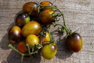 Томаты черри «Атомный виноград Бреда» (Solanum lycopersicum var. Cerasiforme ‘Brad's Atomic Grape’) Томаты черри «Атомный виноград Бреда» (Solanum lycopersicum var. Cerasiforme ‘Brad's Atomic Grape’)