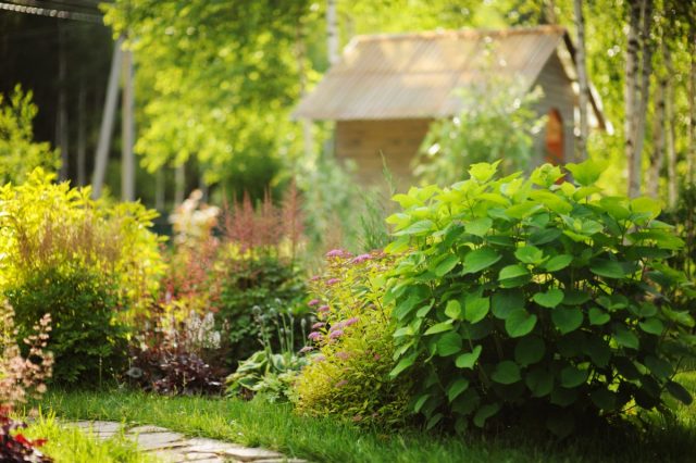Сад огород для чайников — начинающему огороднику с чего начать