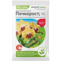 «Почкорост» — больше, чем просто регулятор роста «Почкорост» — больше, чем просто регулятор роста