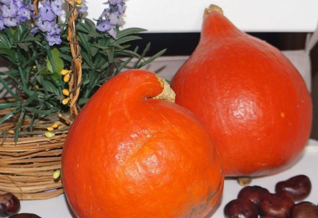Потимарон, или тыквокаштан — чудо-овощ из Франции или обычная тыква?
