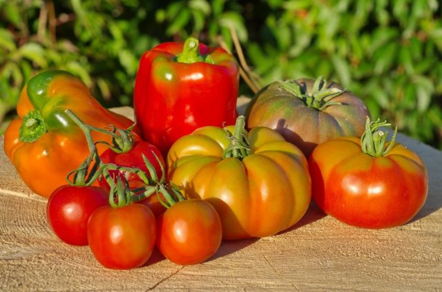Лучшие сорта томатов и перцев для холодных регионов 