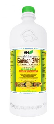 Биопрепарат "Байкал ЭМ-1" поможет в профилактике фитофторы Биопрепарат "Байкал ЭМ-1" поможет в профилактике фитофторы