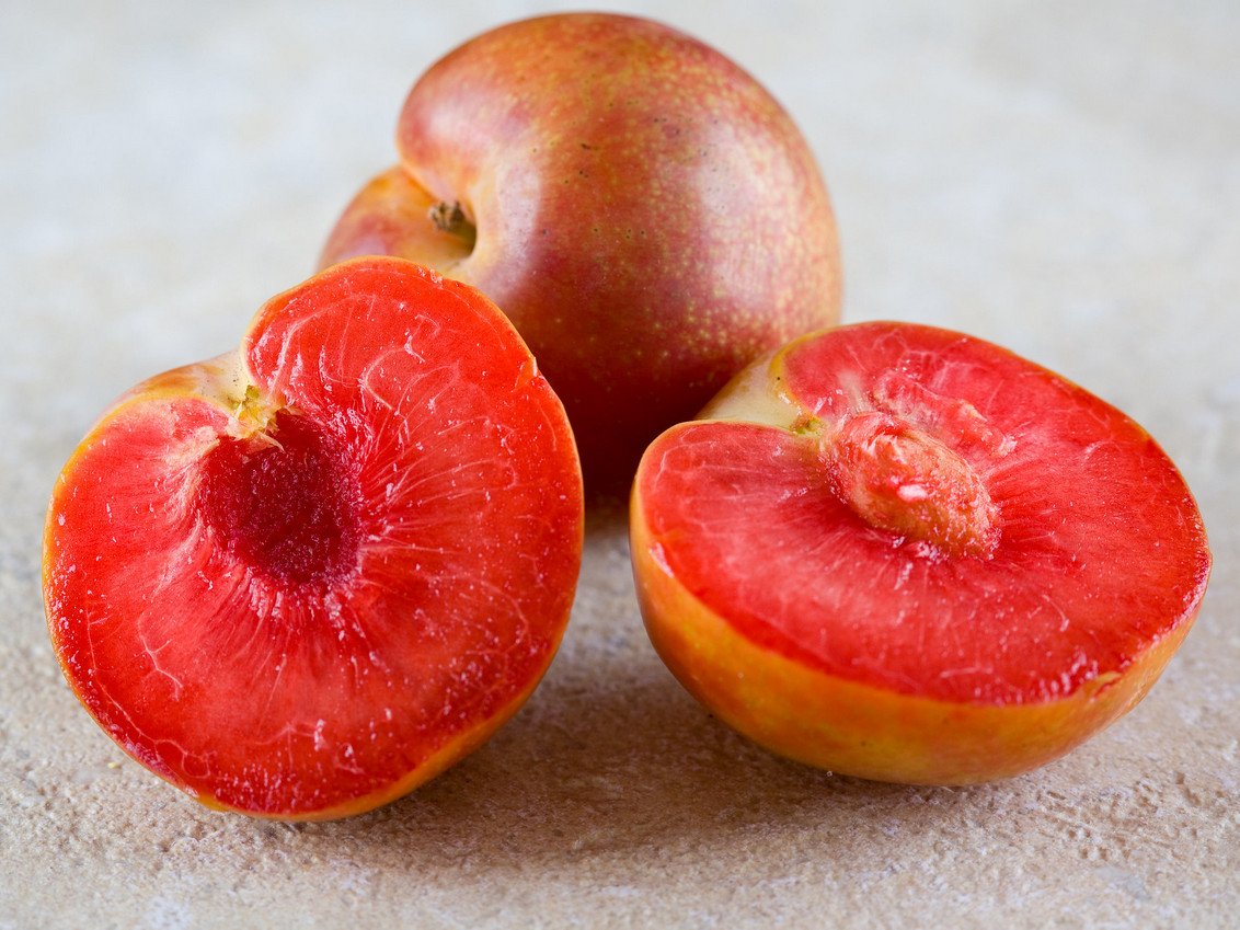 Гибрид абрикоса и персика шарафуга. Гибрид слива персик абрикос шарафуга. Абрикос нектарин АПРИУМ.