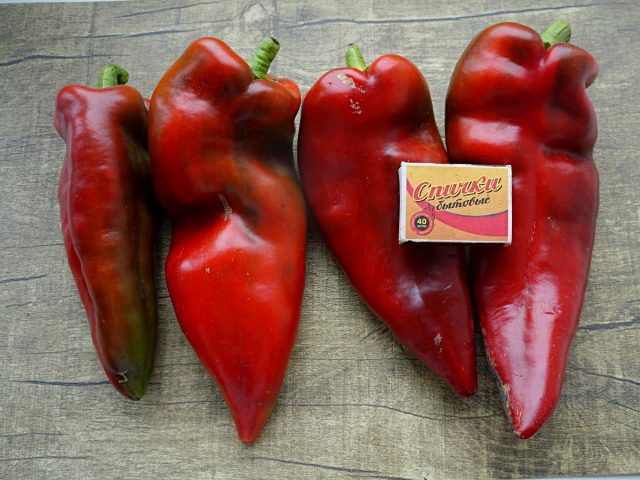 Sweet pepper "Palanichko Miracle" (Palanacico cudo)