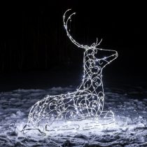 Северный олень из света добавляет немного сказки Северный олень из света добавляет немного сказки