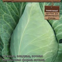Капуста «Новелла» Капуста «Новелла»