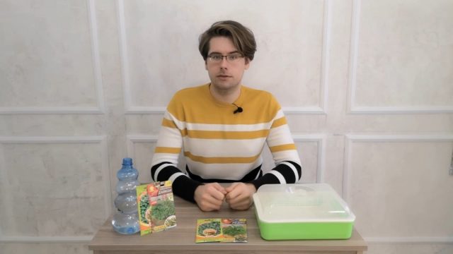Как выращивать микрозелень. Советы агронома Как выращивать микрозелень. Советы агронома