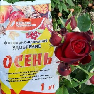 Фосфорно-калийное удобрение «Осень» Фосфорно-калийное удобрение «Осень»